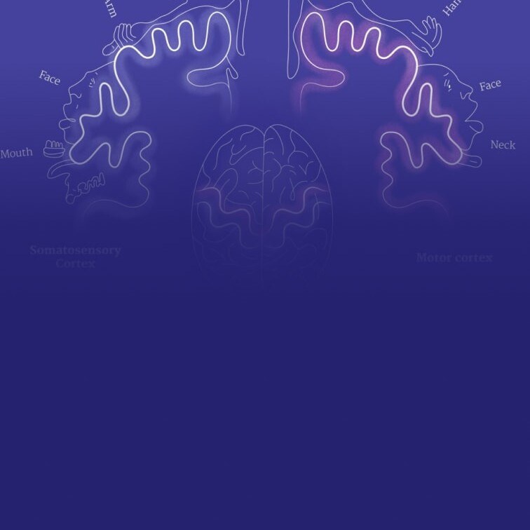 Abstract lines evoking cognition and connection